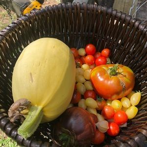 Meet your Posher, Renee